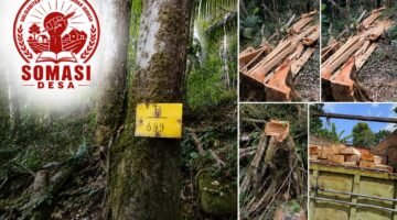 SOMASI DESA SOROTI DUGAAN PENEBANGAN HUTAN DI PARIGI, DESAK APH BERTINDAK TEGAS